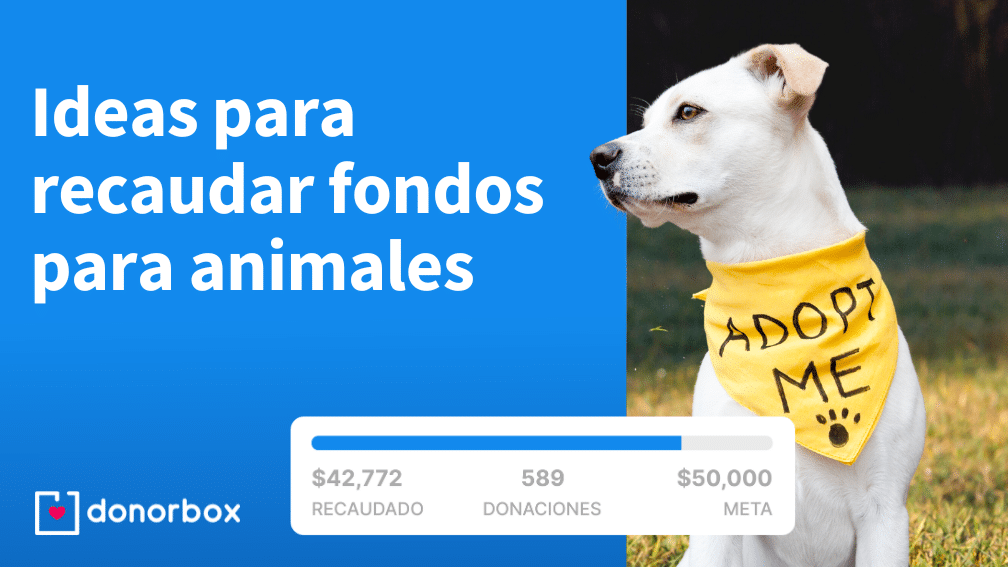 como-conseguir-mascotas-gratis-en-eventos-de-inicio-de-sesion