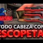 Sensibilidad para levantar mira con escopetas (M1014 y dos tiros)